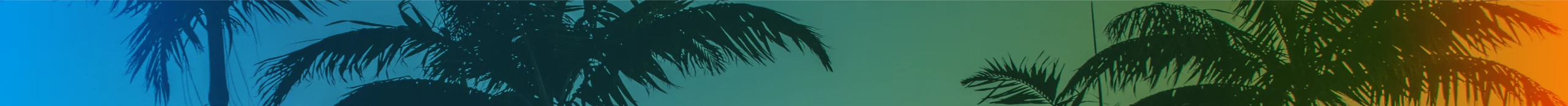 Sub Banner Background